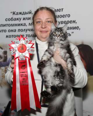 �������� ����� '������� ���-�����' 30 ������-1 ������� 2013., WCF-����� 3909